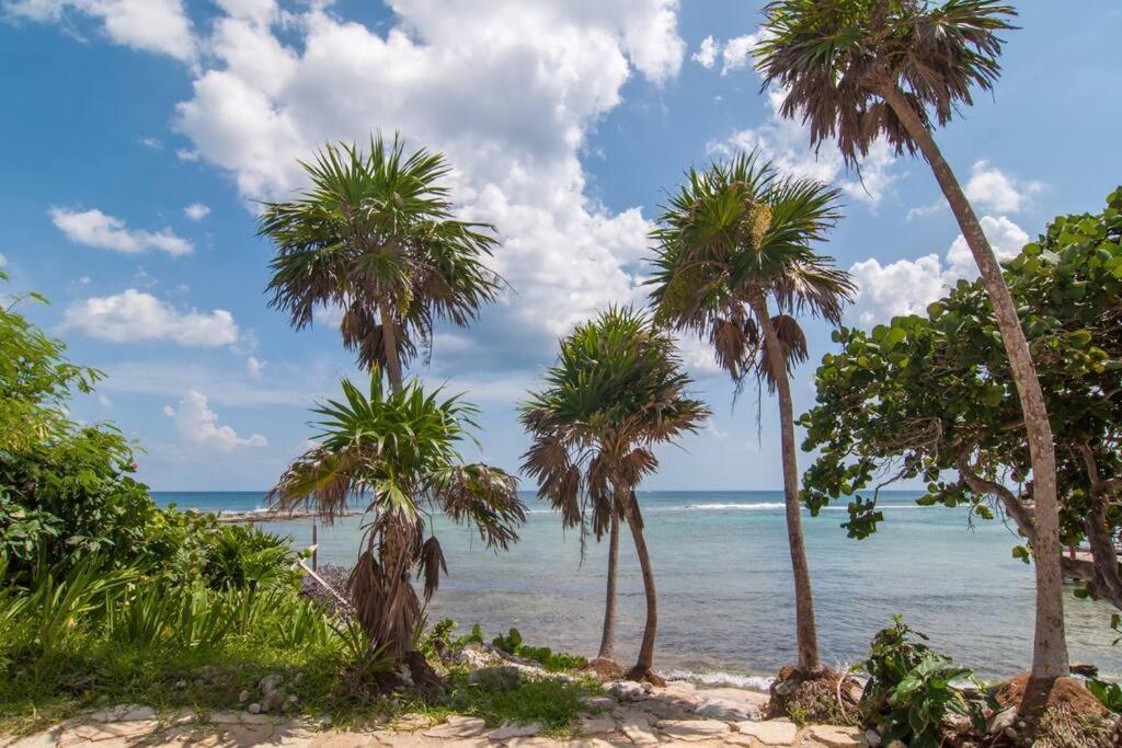 Ground Level Garden Condo At Akumal South By Tao Santamar Exteriér fotografie